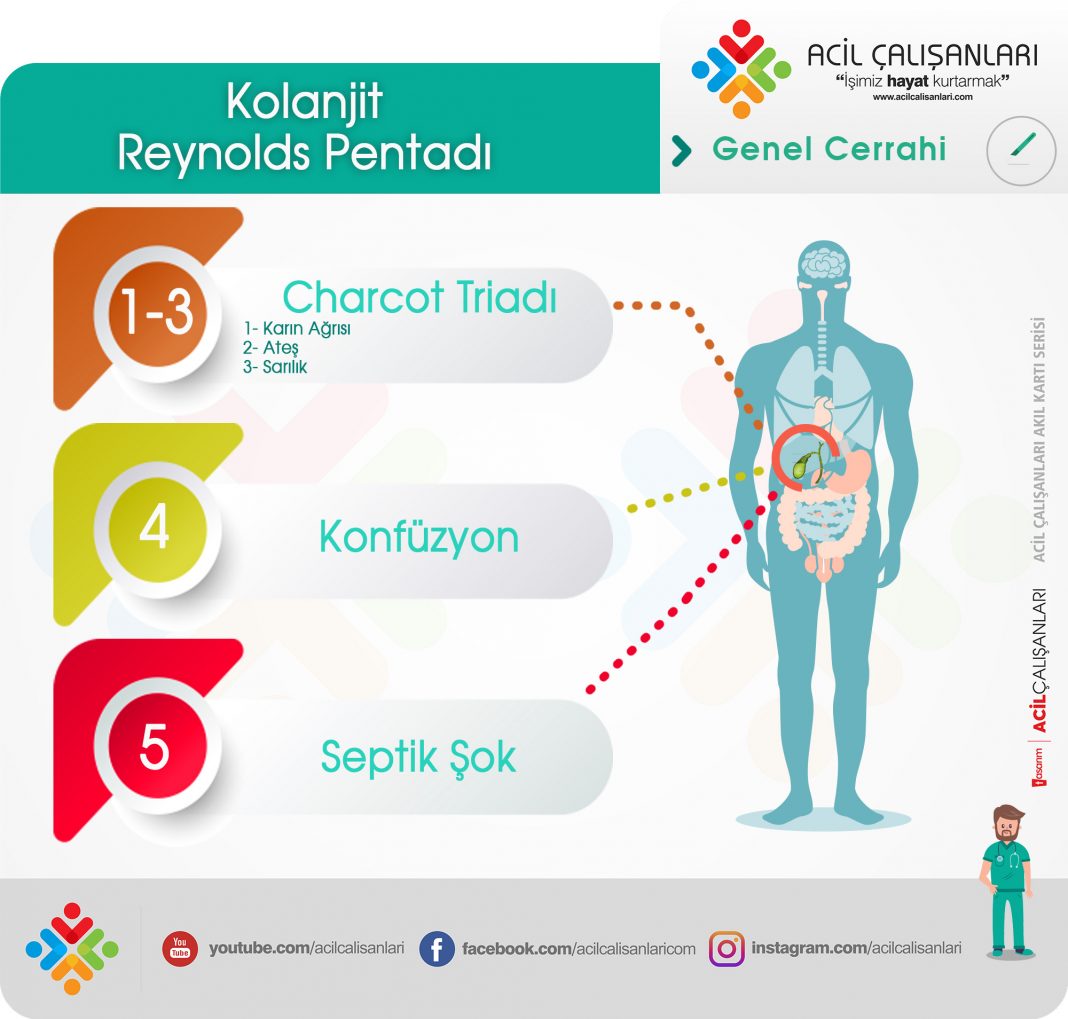 Safra Kesesi Ve Safra Yolu Hastalıkları Genel Bakış - Acil Çalışanları