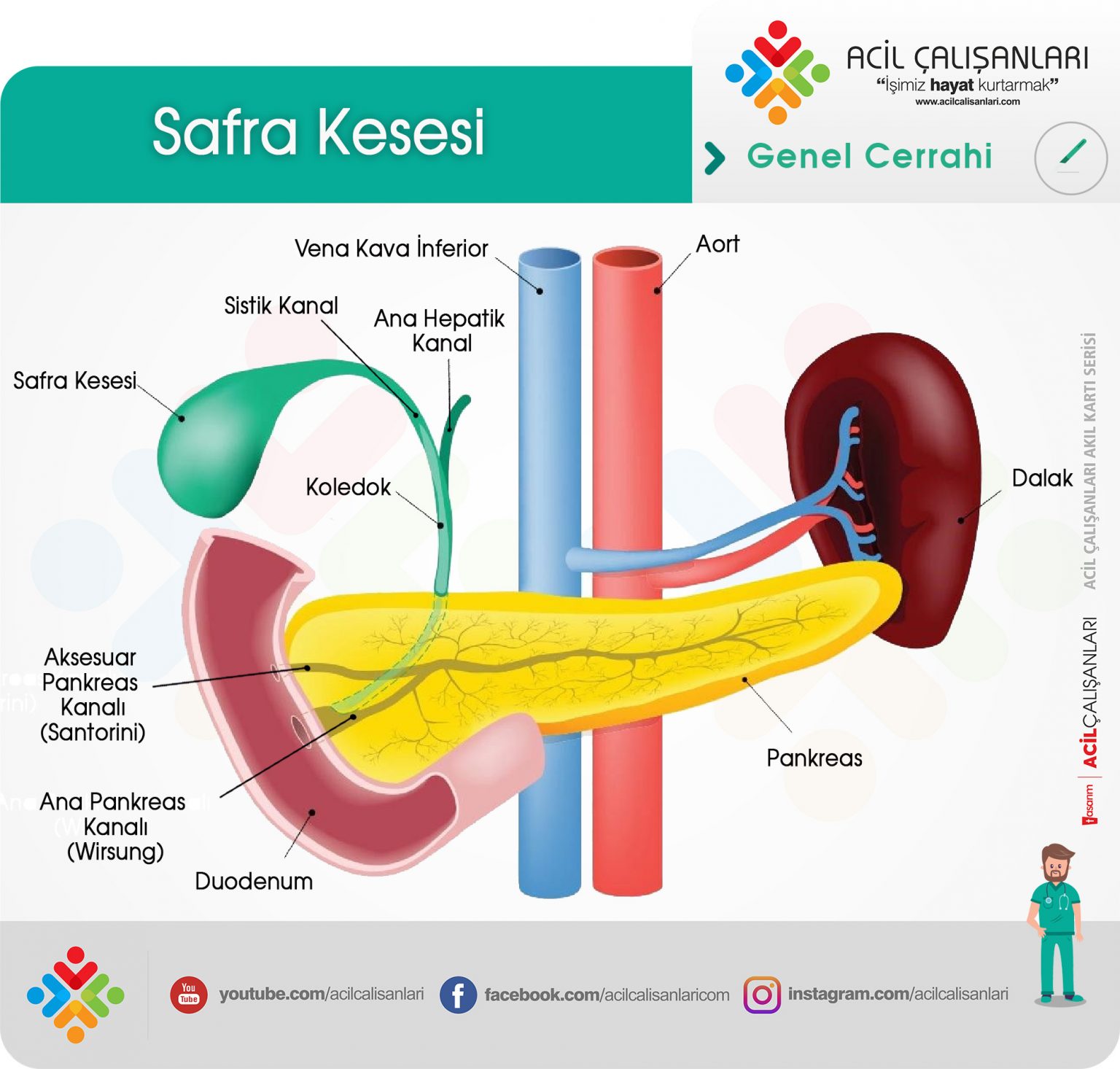 Safra Kesesi Ve Safra Yolu Hastalıkları Genel Bakış - Acil Çalışanları