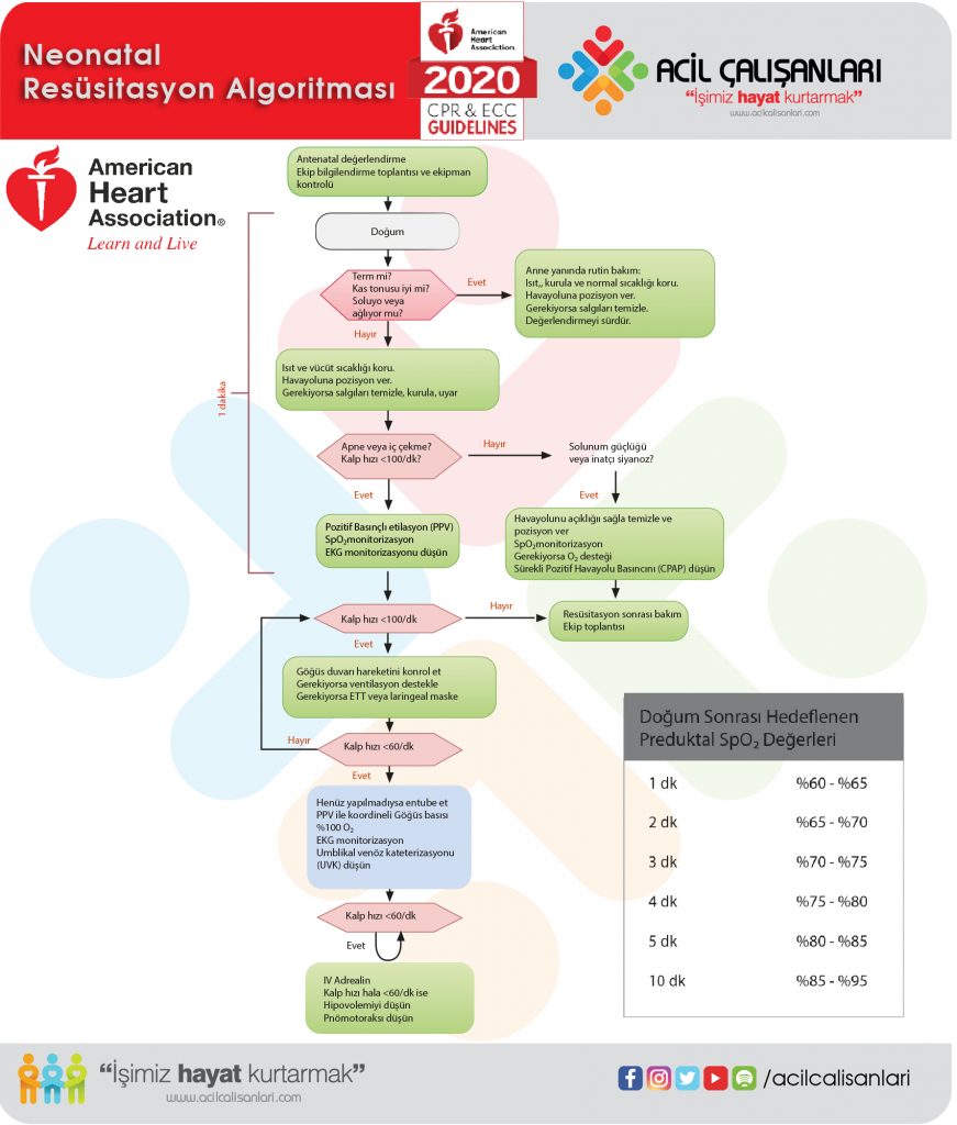Neonatal Resüsitasyon Algoritması Akıl Kartı AHA 2020 - Acil Çalışanları